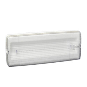 Central Battery System Addressable Emergency Luminaries 24V DC