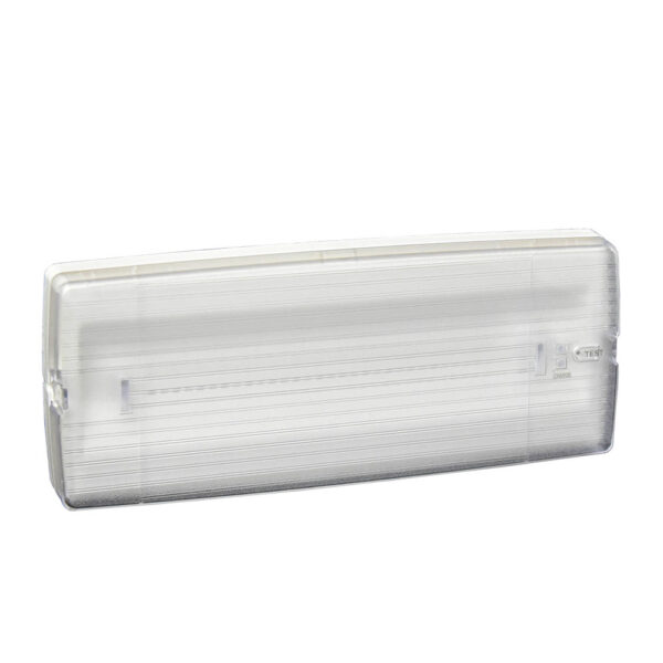 Central Battery System Addressable Emergency Luminaries 24V DC
